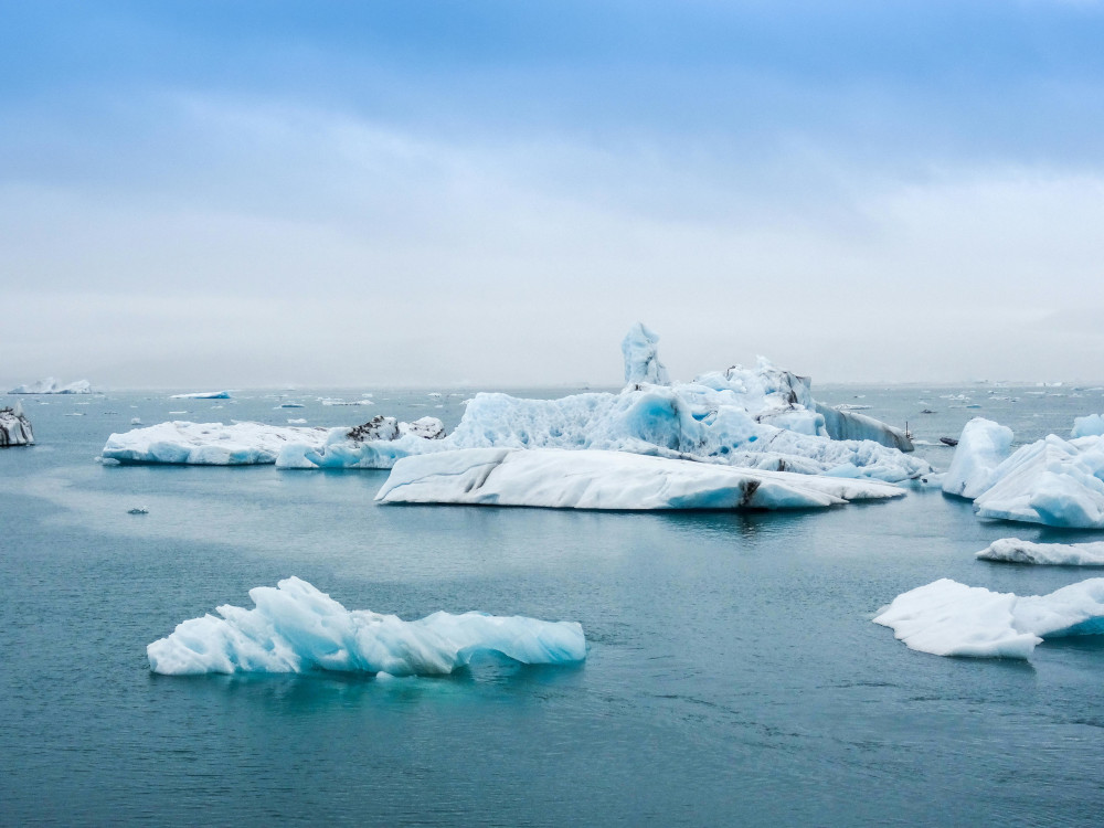 Icebergs Icebergs