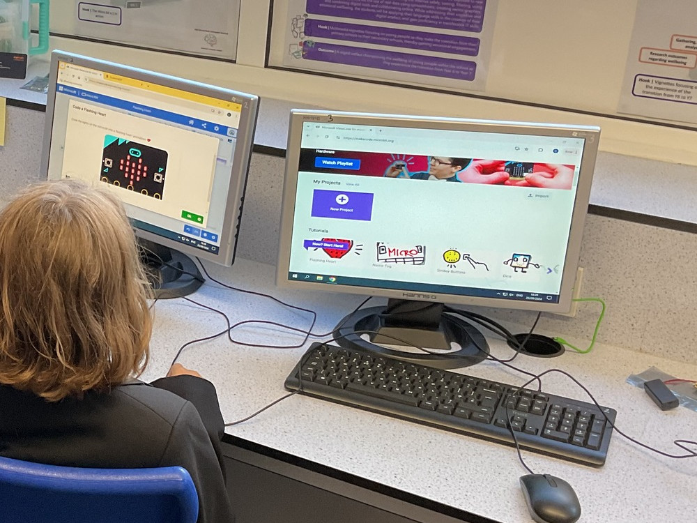 Student-Using-Computer Student Using Computer